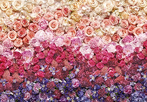 Fototapete INTENSE 368x254cm weisse Blüten, Rosen rosa rot violett, Blumenteppich