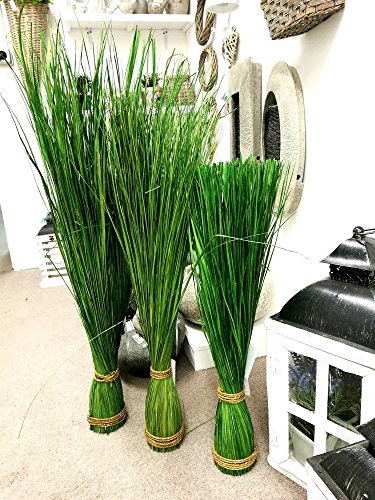 Gras Grasbündel im Garten Grasbund Deko Zweige Grasbüschel (70 cm) - 3