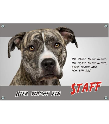 Warnschild 'Vorsicht American Staffordshire Terrier' – 30x40 Cm, Aluminium, Wetterfest