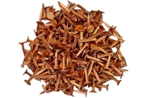 ALTHERISS Semences Tapissier Évidées en Cuivre - 14mm 12/6 (6,4 mm Ø) - 100g - Petit Clou idéal pour Pose de Toile, Sanglage, Appointage - Haute Qualité & Fabriqué en France