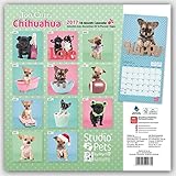 Image de Too Cute Chihuahua - Chihuahuas 2017 - 18-Monatskalender: Original Myrna-Kalender [Mehrsprachig] [Kalender]