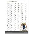 STOTT PILATES Wall Chart