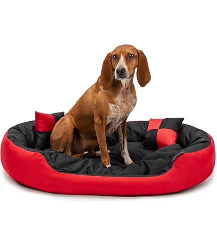 Dehner Kuschelbett Cookie Für Hunde & Katzen – Ca. 58 Cm, Hellbraun, Weicher Plüsch, Waschbar