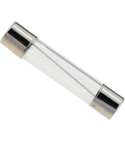 20 Fusibles T10AL250V 5x20mm - Fusion Lente 10A 250V - Pour Appareils Électriques Et Électroniques