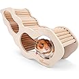 Niteangel Hamster House w/Climbing Ladder for Hamsters Gerbils Mice or Similar-Sized Pets (Secret Peep Tunnel Hamster Hut)