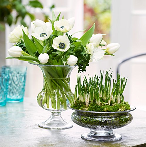 Holmegaard Old English Vase klar H 19 - 4