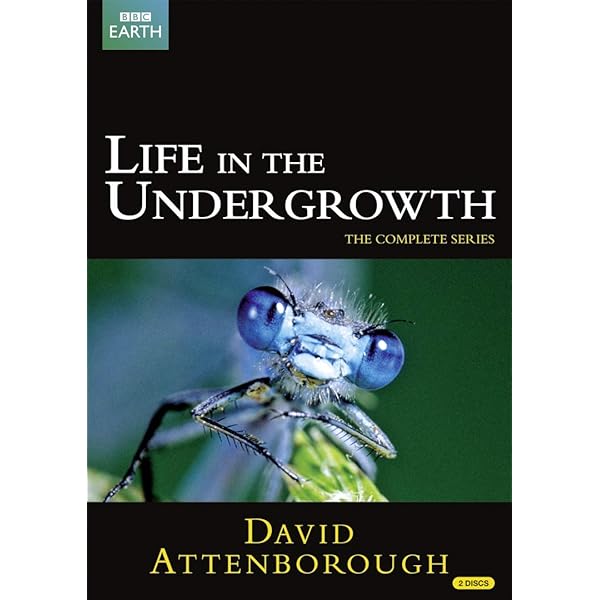 その他 Micro Monsters With David Attenborough 3d [Blu-ray] Amazon.com: Micro Monsters With David Attenborough 3d [3D