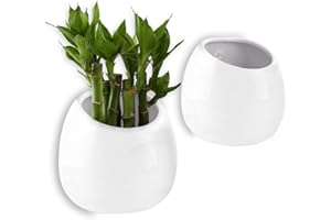 T4U 10CM Wall Mounted Ceramic Plant Pots, Pack of 2 Small Wall Planter for Succulent Flower Hanging Planter White Home and Office Desktop Decoration for Wedding, Birthday, Party, Christmas