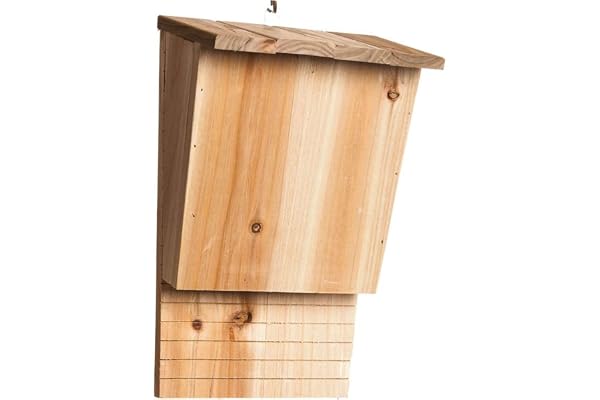 demaxiyad Nichoir Chauve Souris, Maisons en Bois pour Chauve-Souris Grand Abri pour Chauve-Souris avec Toit, Quartiers D'été Et d'hiver Boulonnés Résistant Aux Intempéries Résistant
