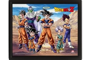 Pyramid Cadre lenticulaire 3D Dragon Ball Z - Champions of Earth - Vrai Effet de Mouvement et de Profondeur - Décoration Premium sous Licence Officielle - 25,5 x 20,5 cm Noir/Multicolore