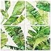 Produktbild CUFUN Art - Grüne Bananenblatt Drucke auf Leinwand für Cornwall Daun Pisang Pflanze Bilder Wandkunst Dekoration (30x30cmx4pcs)