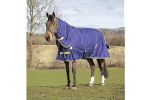 Asker 200g Horse Combo Neck Turnout Rug - Navy Blue 6ft9