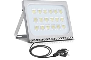 PAPASBOX Reflektor LED 100 W, reflektor budowlany z wtyczką, wodoszczelny IP65, 6000 K, zimna biel, idealna lampa ścienna do ogrodu, garażu, hotelu