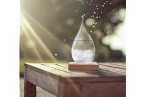 COLOR YOU Storm Glass Weather Predictor Glass Barometer Forecaster Creative Crystal Decorative Bottles Desktop Drops Forecast Bottle Home and Office Birthday