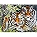 Produktbild LEELIYA Ronda Completa Taladro Bordado De Diamantes Lindos DOS Tigres 5D DIY Diamante Pintura Punto De Cruz Rhinestone Mosaico Decoración,40X50cm