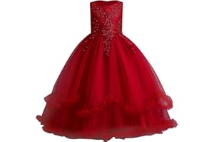 IBTOM CASTLE Enfants Filles Robe de Soirée Brodées Princesse Pageant Robes de Bal Longue en Dentelle Première Mariage Communion Anniversaire Photographie Robe