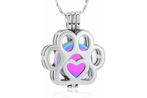 AIWENXI Pet Ashes Necklace Cremation Jewellery for Cat Dog Ashes Pendant Inside Mini Case Paw Print Urn Necklace for Women Men Keepsake Memorial Jewelry for Ashea Locket