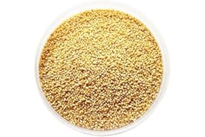 JALPUR Foxtail - Graines de millet - 1 kg