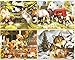 Produktbild Harmony Collection - Four 500 Piece Jigsaw Puzzles by Artist Howard Robinson Including - Poolside Pets, Meadow Farm, Autumn on the Porch and Wolf Harmony by Ceaco