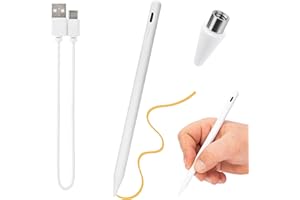 GENERICO Penna per Tablet e Smartphone Universale – Compatibile con iOS, Android e Windows, Ricarica USB-C