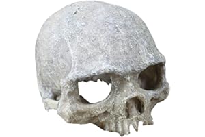 XIZHI ZYMY Esqueleto decorativo de resina con agujero de esqueleto artificial para acuario, decoración de cueva, paisaje, casa de reptiles (calavera humana artificial)