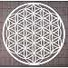 Produktbild Blume des Lebens Wanddeko Edelstahl mit Kristallen ø 44 cm | Wandschmuck Lebensblume Wand Dekoration Spirituelles Symbol | Esoterik Geschenke günstig kaufen