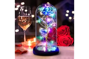 DASIAUTOEM Kit cadeau rose éternelle lampe LED fleur or rose cadeau dans dôme en verre belle et la bête, rose cadeau romantique pour anniversaire de mariage femme amie