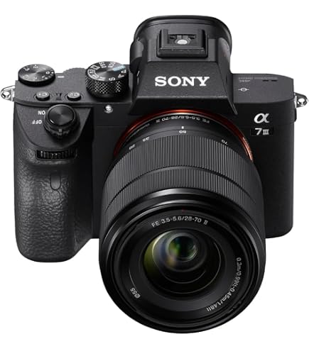 Sony Alpha 7R III / ILCE-7RM3: Amazon.co.uk: Electronics & Photo