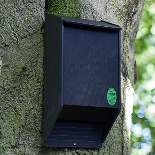 Nestbox Co Eco Bat Box with Crevice Roosting Chamber
