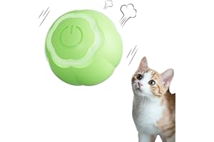 Peticularz Jouet Balle per Chat, Jouet Automatique interactif powerball pour Chats & Chien, Jeux Power Ball Divertisement & Stimulation, Jouet pour Chaton (Verte avec pétales de Fleurs)
