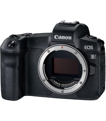 Canon EOS R3 Aynasız Dijital Fotoğraf Makinesi (Canon Eurasia