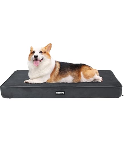 Wooff Matras Korrelkussen Oker - Hondenmatras - Matras - Pets Place