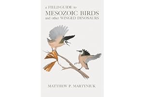 A Field Guide to Mesozoic Birds and Other Winged Dinosaurs