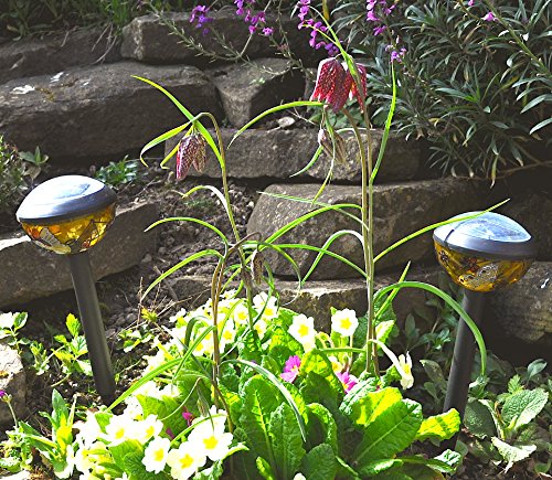 Gardensity Solarlampe Mini Tiffany, Garten-/Terrassenbeleuchtung, Set mit 8, bleihaltig, Glas-Stil - 3