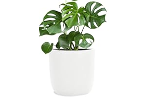 ‎PFLANZWERK Pflanzwerk® Pflanzkübel Fiberglas Weiss Cup Ø42x41cm *Frostbeständige Blumenkübel* *Deutsche Premiumqualität* *Lotus-Effekt Imprägnierung*