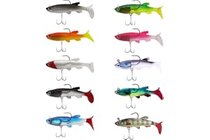 YWKJDDM Angelköder Set, 10 Stück Gummifische mit Jigkopf, Kunstköder, Gummiköder, Süßwasser Salzwasser Fischen Geschenk für Barsch Weiches Mandarinenfisch Pferdemaul Tilapia