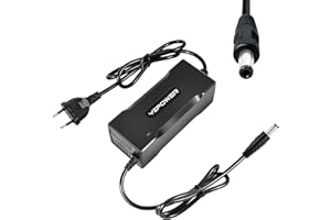 YZPOWER 24V 4A Chargeur De Trottinette, Sortie 29.4V 117W, Rapide Chargeur pour Trottinette Électrique, Vélo Électrique, Fauteuil Roulant Électrique, Connecteur DC 5.5 * 2.1mm