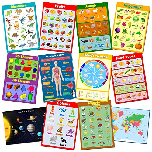 Picture Learning Poster Pack x12 Educational for Preschool & School Kids, Dinosaur Poster, Space Poster, World Map for Kids, Learn Shapes, Weather poster, Learn with Images