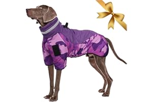 VIVI BEAR Cappotto Impermeabile per Cani, Giacca per Cani di Media e Grande, Giacca Invernale Calda e Antivento Con Strisce Riflettenti e Imbracatura con Anello a D per l'allenamento all'aperto Sport e Caccia