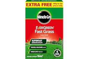 HEZVIC Miracle GRO Evergreen Fast Grass Lawn Seed 480g with a Thank You Sticker - Fsst Grass Lawn Seed - Fast Germination
