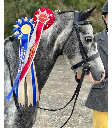 Heritage English Leather Bridle Headpiece – Havana Black – Full Cob 12mm Cheeks