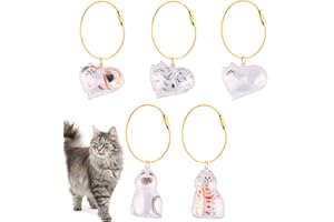 ASTRALONG 6 Pezzi Portachiavi per Peli di Gatto, Capsule Regalo Commemorative in Acrilico Trasparente, Scatola Ricordo per Raccolta di Peli Capelli Animali, Idea Regalo per Amanti Degli Animali Domestici