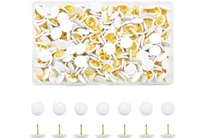 Hocansen 300 Pcs Thumb Tacks 10x9mm Colored Push Pins Flat Round Head Drawing Pins for Map, Photo Wall, Corkboard (White/TD-PT)