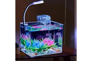 Hodeffior 2.5L Aquarium Starter Kits Transparent PS Fish Tank with 3W Light Rectangular Aquarium Tank for Betta Fish, Goldfish and Shrimp as Living Room Office Decoration