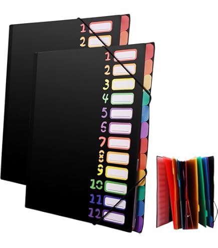 Leitz 39120055 Ordnungsmappe, 12 Fächer, Colorspankarton, grün