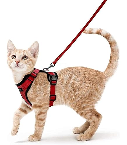 ACXIN Kattenkrabpaal, krabpaal, stabiele kattenboom met kattenhol, krabzuilen en platforms, kattenhuis, klimboom voor katten, kattenmeubels, hoogte 130 cm, type A - beige