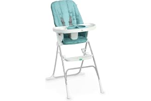 Ingenuity Sun Valley kompakt hopfällbar barnstol, livsmedelssäker tallrik, 5-punktssele, för åldrarna 6 månader och uppåt, unisex –
