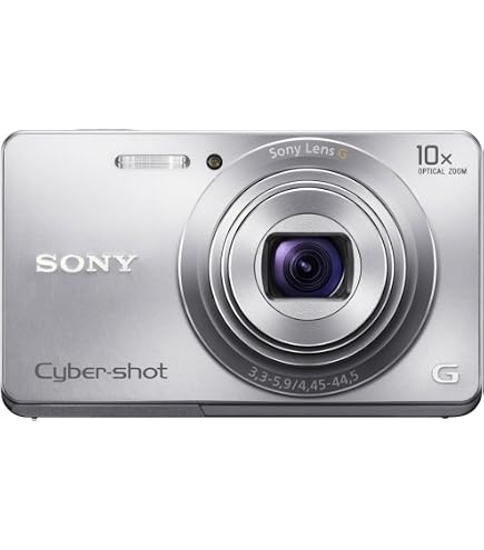 Sony Cyber-SHOT DSC-W630 Digital Camera, Silver (Renewed): Amazon