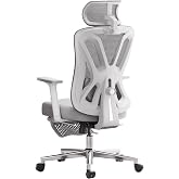 Hbada P5 Ergonomic Office Chair with Adjustable Lumbar Support, Breathable Elastic Cushion, Adjustable Armrests and Headrest,