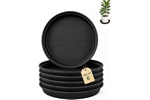 Bamworld Växtfat 6-pack Plastfat för Blomkrukor Vattenuppsamlare för Inomhus och Utomhus, 30 cm